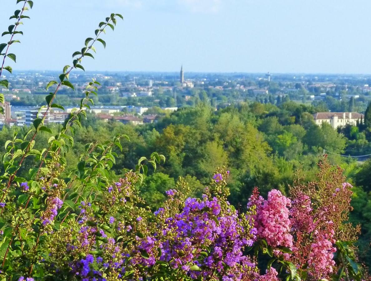 Podere Di Costabella Conegliano Kültér fotó