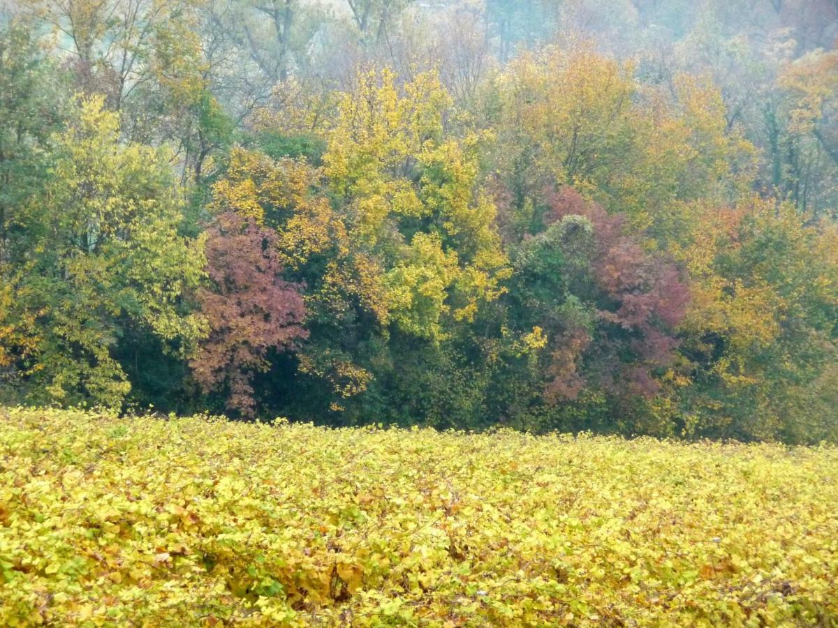 Podere Di Costabella Conegliano Kültér fotó
